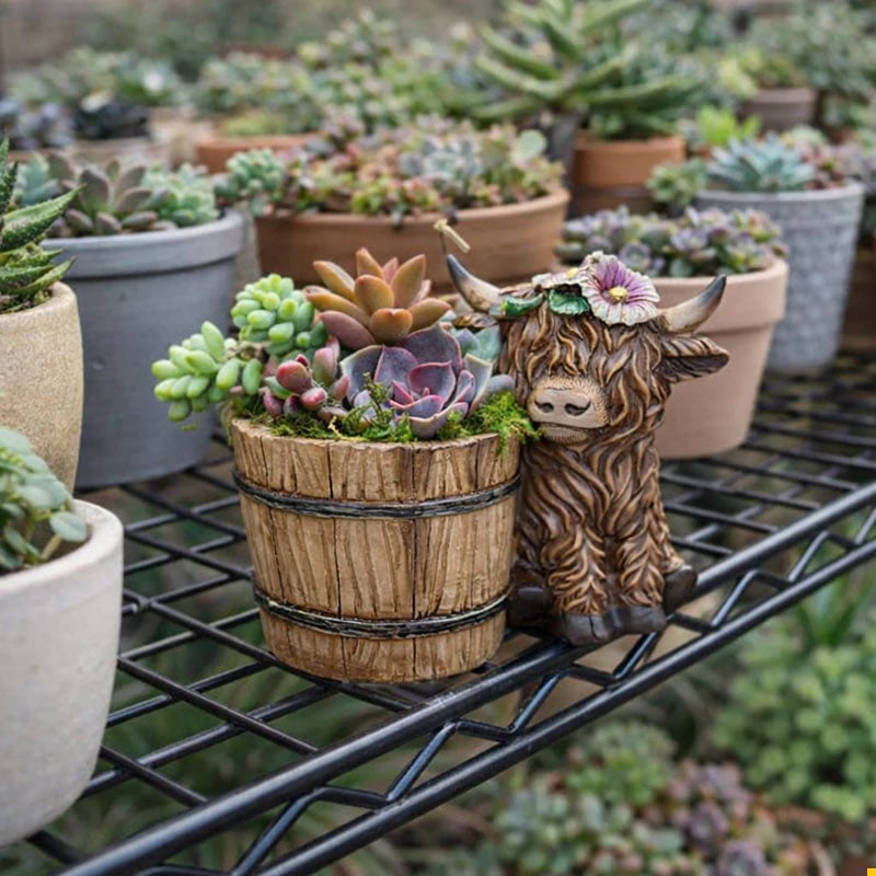 🐮Adorable Ceramic Highland Cow with Wooden Barrel Planter for Succulents