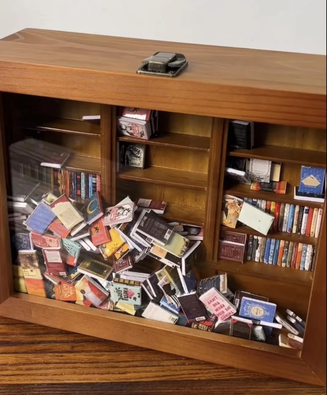 🏆Anxiety Bookshelf | Shake Away Your Anxiety