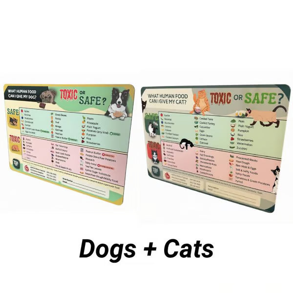 🔥 🧲“Can My Dog or Cat Eat This?” Quick-Check Pet Food Guide Magnet 🐶🐱
